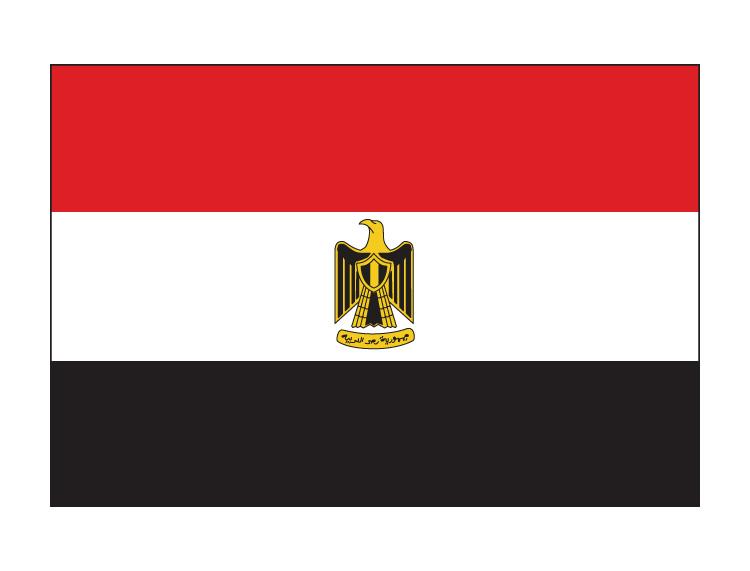 埃及商標(biāo)注冊(cè)