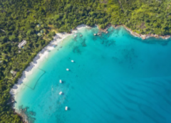 注冊塞舌公司類型及優(yōu)勢有哪些？