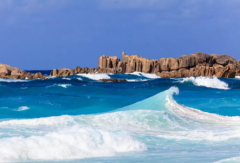 塞舌爾公司逾期年審有什么后果？