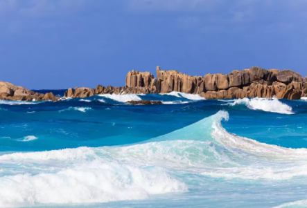 塞舌爾公司逾期年審有什么后果？