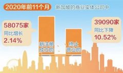 增長！增長！疫情背景下新加坡公司新注冊數(shù)量逆勢增長！