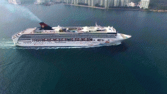 優(yōu)才能否順利續(xù)簽永居，關鍵點大公開!