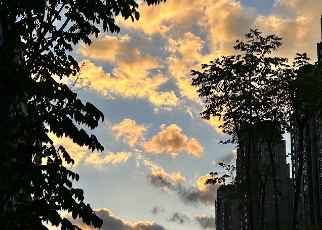 韓國公司年審逾期應對策略與風險規(guī)避指南