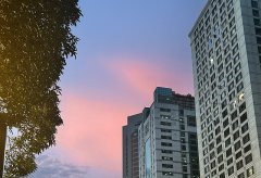 解析新加坡公司年審逾期還可以補救嗎